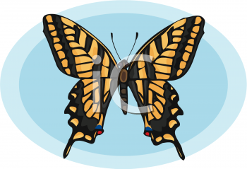 Insect Clipart