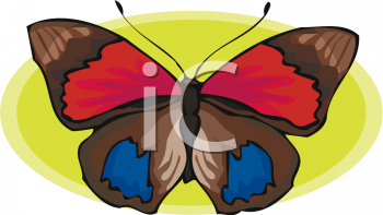 Insect Clipart