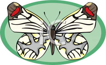 Insect Clipart