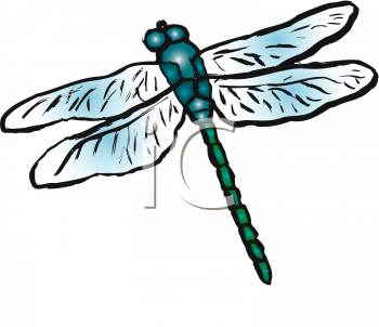 Insect Clipart