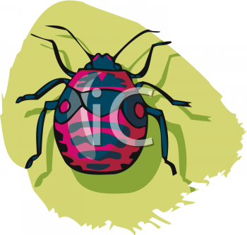 Insect Clipart