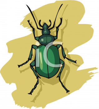 Insect Clipart