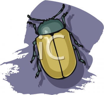 Insect Clipart
