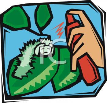 Insect Clipart