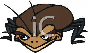 Beetle Clipart