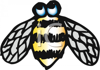 Insect Clipart