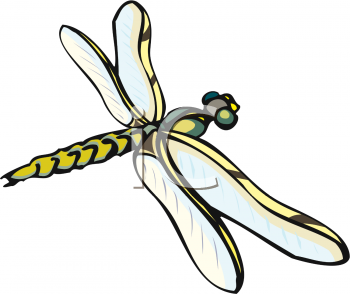 Insect Clipart