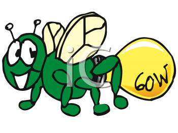 Insect Clipart