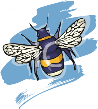Insect Clipart