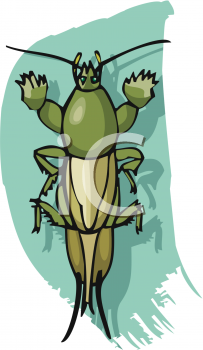 Insect Clipart