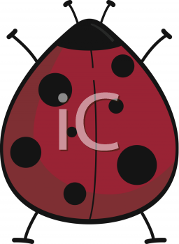 Beetle Clipart