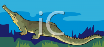 Reptile Clipart