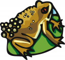 Amphibians Clipart