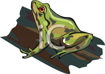 Amphibians Clipart