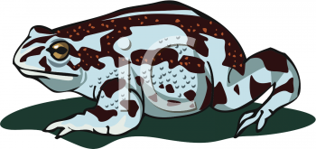Amphibians Clipart
