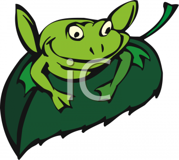 Amphibians Clipart