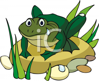 Amphibians Clipart