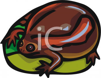 Amphibians Clipart
