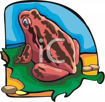 Amphibians Clipart