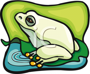 Amphibians Clipart