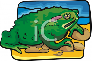 Amphibians Clipart