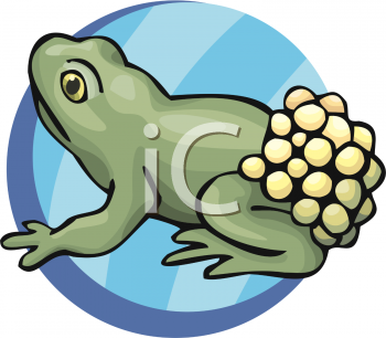 Amphibians Clipart