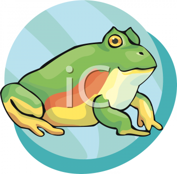 Amphibians Clipart