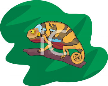Lizard Clipart