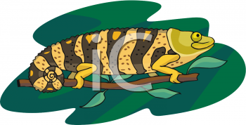 Lizard Clipart