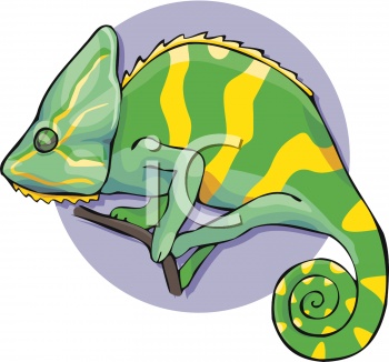Lizard Clipart
