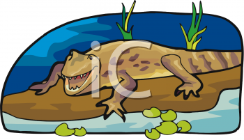 Reptile Clipart
