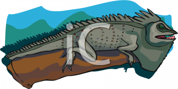 Reptile Clipart
