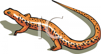 Reptile Clipart