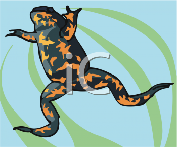 Lizard Clipart