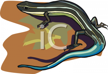 Reptile Clipart