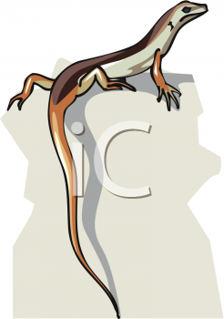Lizard Clipart