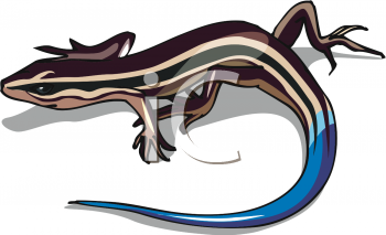 Reptile Clipart
