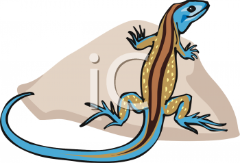 Lizard Clipart