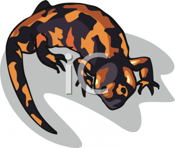 Lizard Clipart