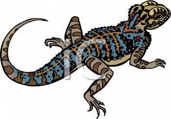 Lizard Clipart