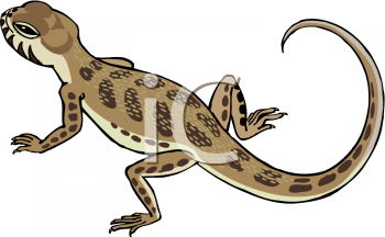Lizard Clipart
