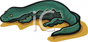 Reptile Clipart