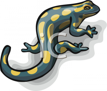Reptile Clipart