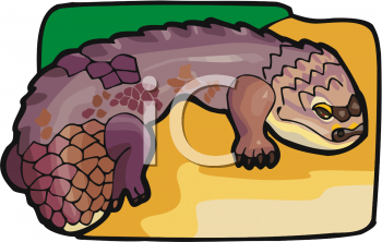 Lizard Clipart