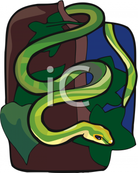 Reptile Clipart