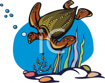 Reptile Clipart