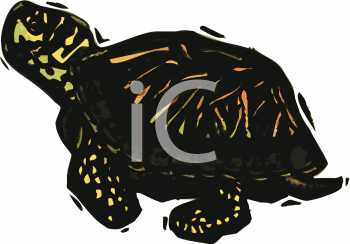 Reptile Clipart