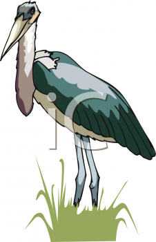 Bird Clipart