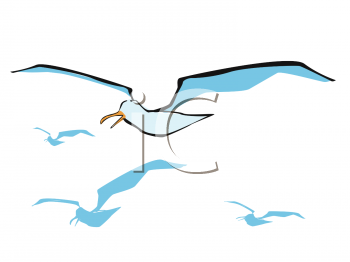 Bird Clipart