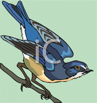 Bird Clipart